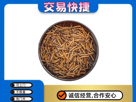 唐山回收散虫草